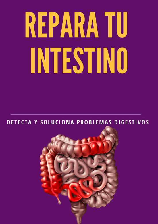 Repara tu intestino